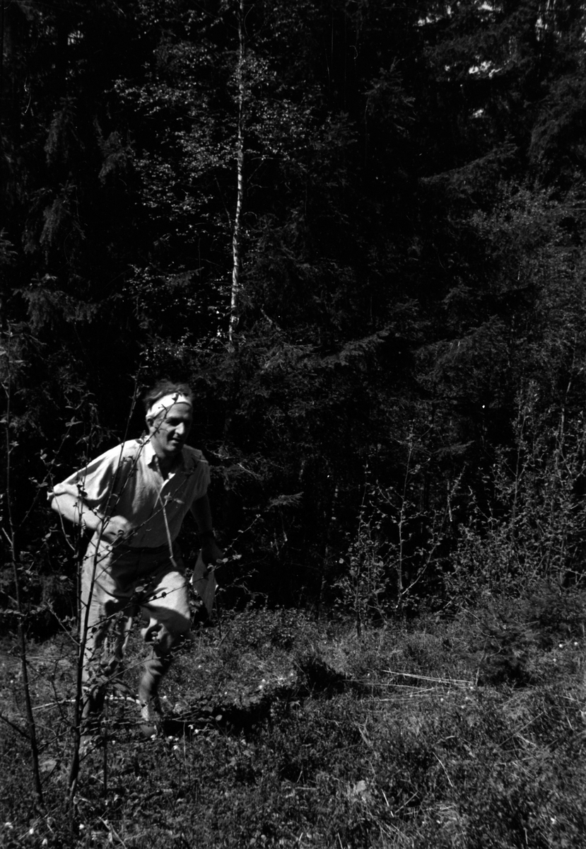 Adolf Skjegstad, ORIENTERINGSLØPER, UKJENT.