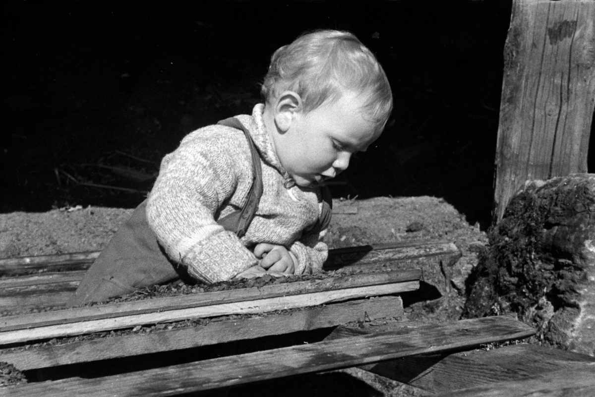 Adolf Skjegstad, ASK-01454