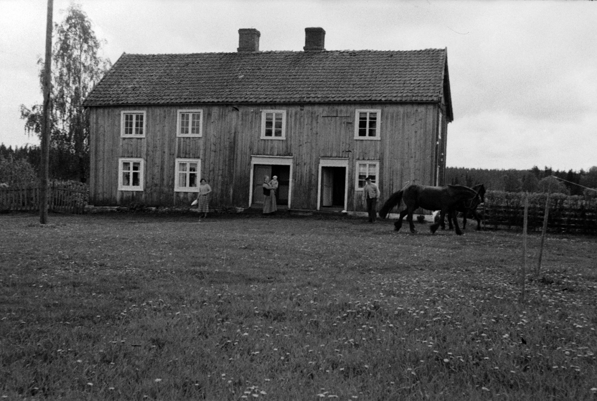 Adolf Skjegstad, ASK-01462