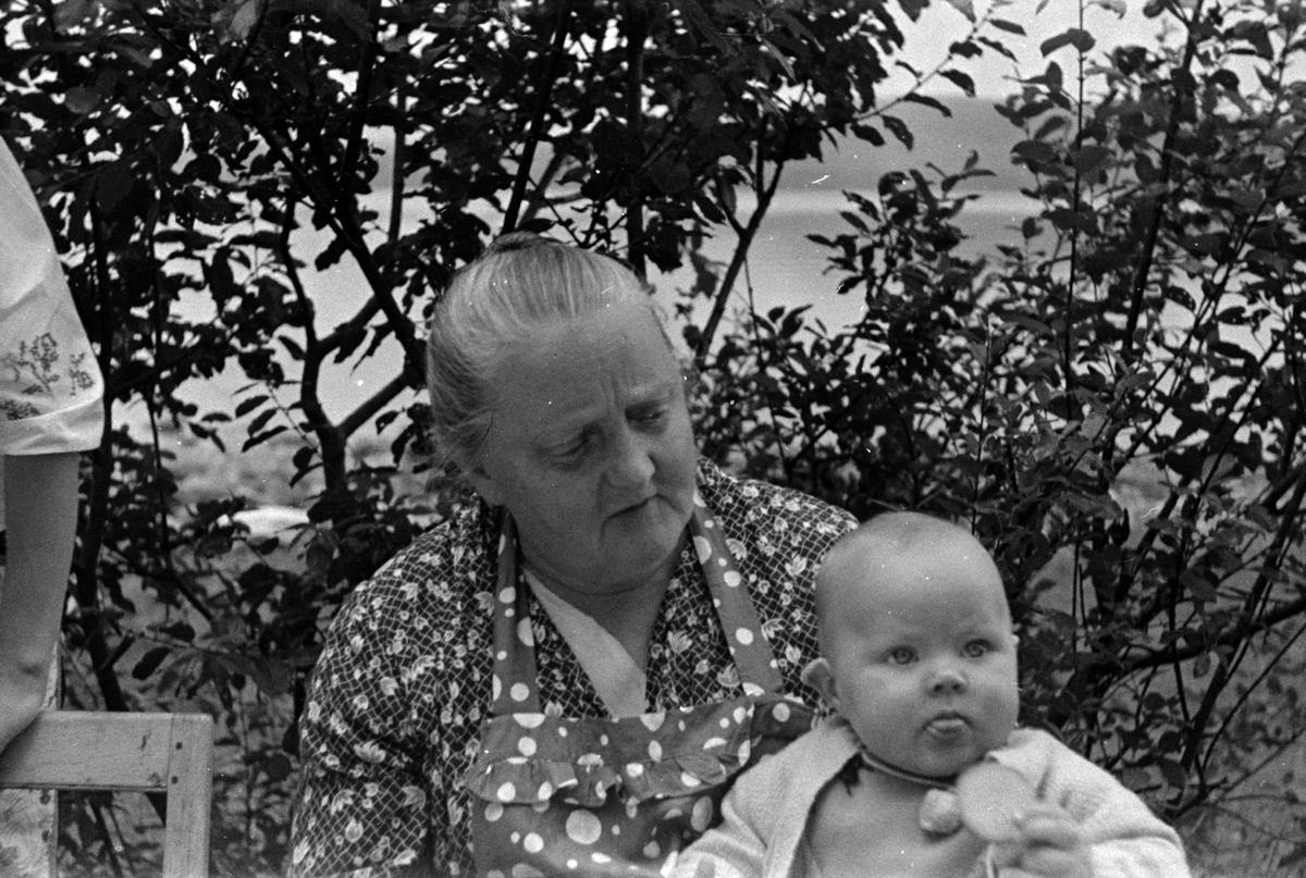 Adolf Skjegstad, ASK-01482