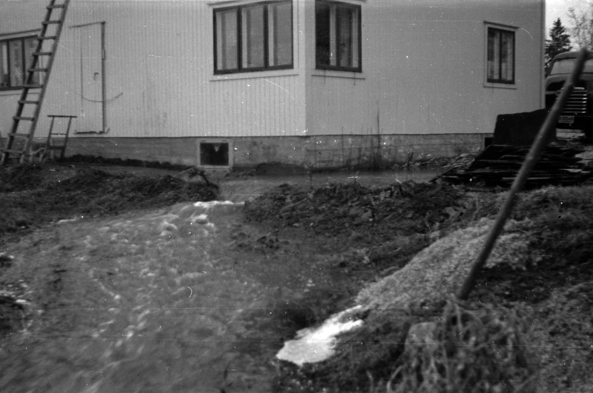 Adolf Skjegstad, ASK-01907