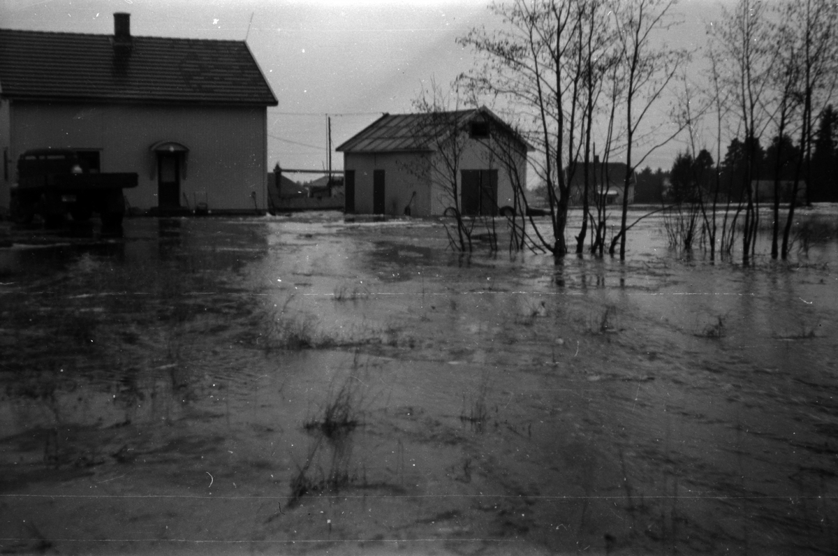 Adolf Skjegstad, ASK-01910