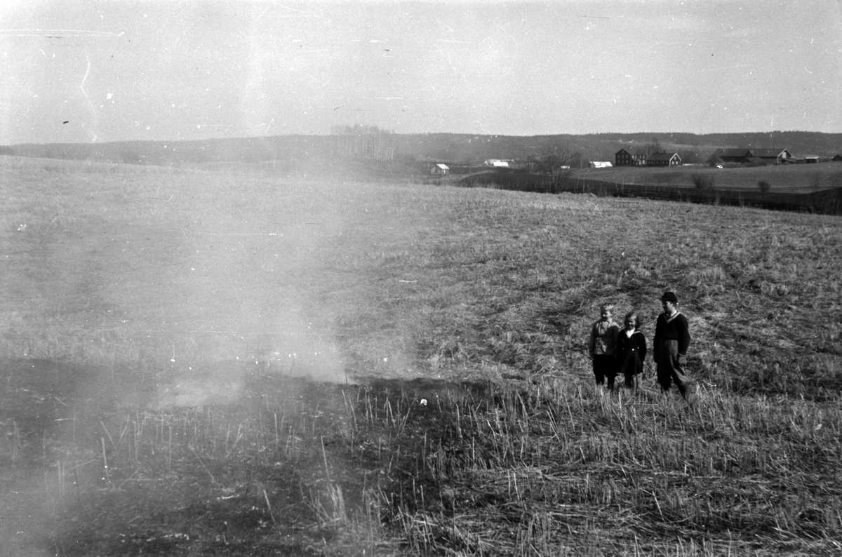Adolf Skjegstad, BRÅTEBRANN VED UTHUS GÅRD I ROMEDAL.