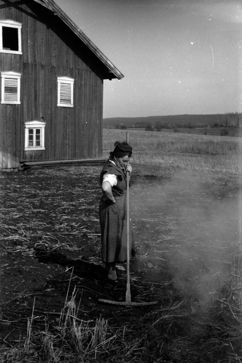 Adolf Skjegstad, bråtebrann. Petra Skjegestad brenner bråte på Uthus gård, Romedal.