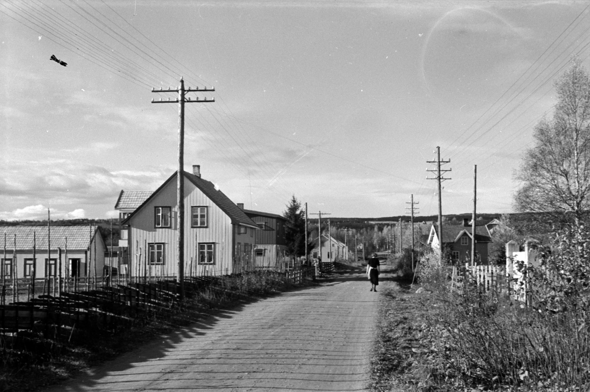 Adolf Skjegstad, BRUMUNDDAL, VELDRESIDA, GATEPARTI I FAGERLUNDVEGEN? LYSSTOLPER, TELEFONSTOLPER.