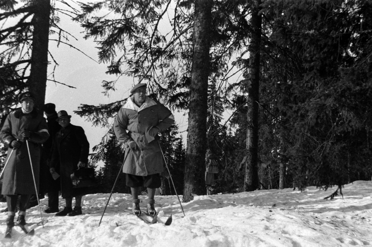 Adolf Skjegstad, KONG OLAV PÅ SKI, TILSKUER PÅ LANGRENN.