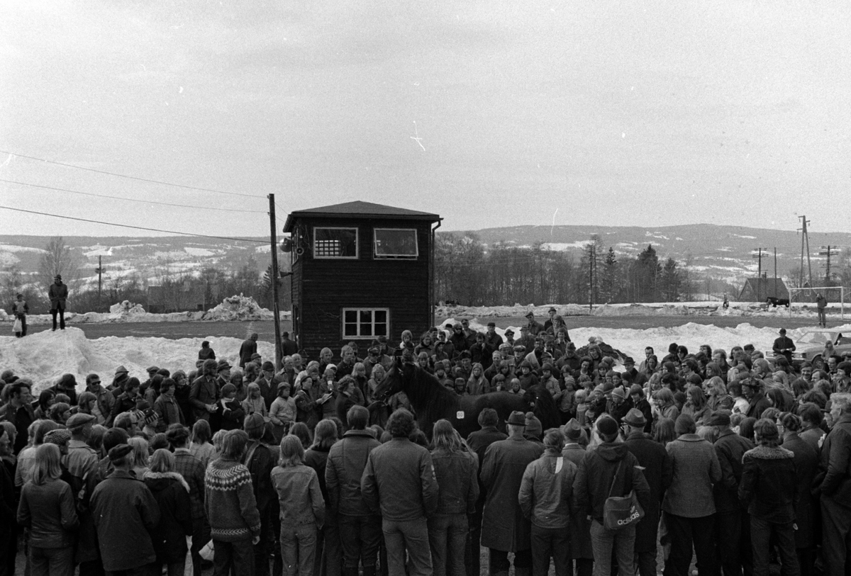 Adolf Skjegstad, STAMPESLETTA LILLEHAMMER, HESTEUTSTILLING.