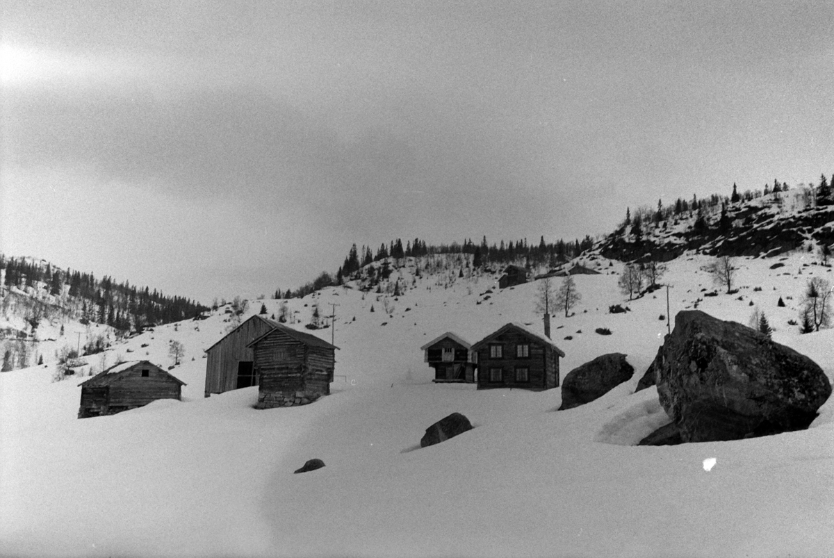 Adolf Skjegstad, ASK-02166