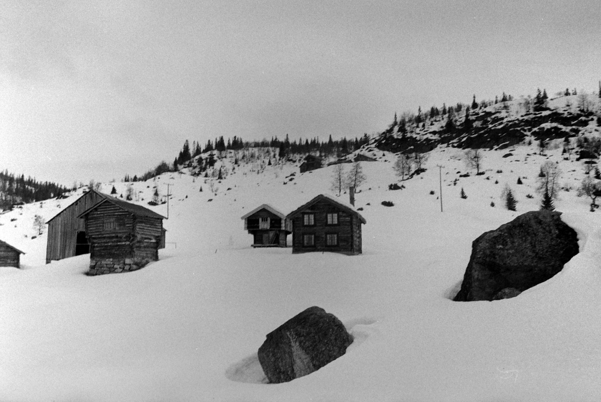 Adolf Skjegstad, ASK-02167