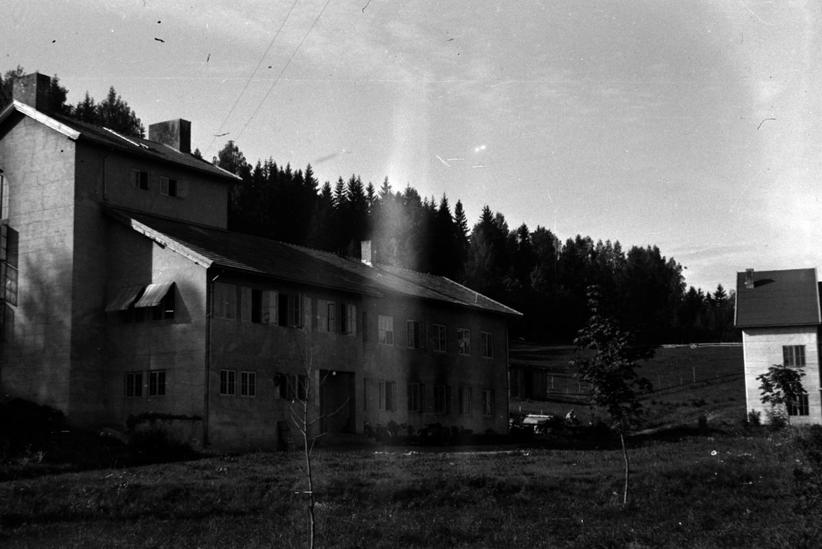 Adolf Skjegstad, ASK-02209