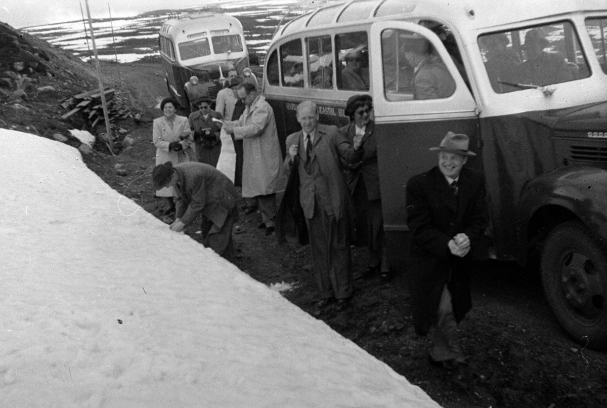 Adolf Skjegstad, ASK-02217