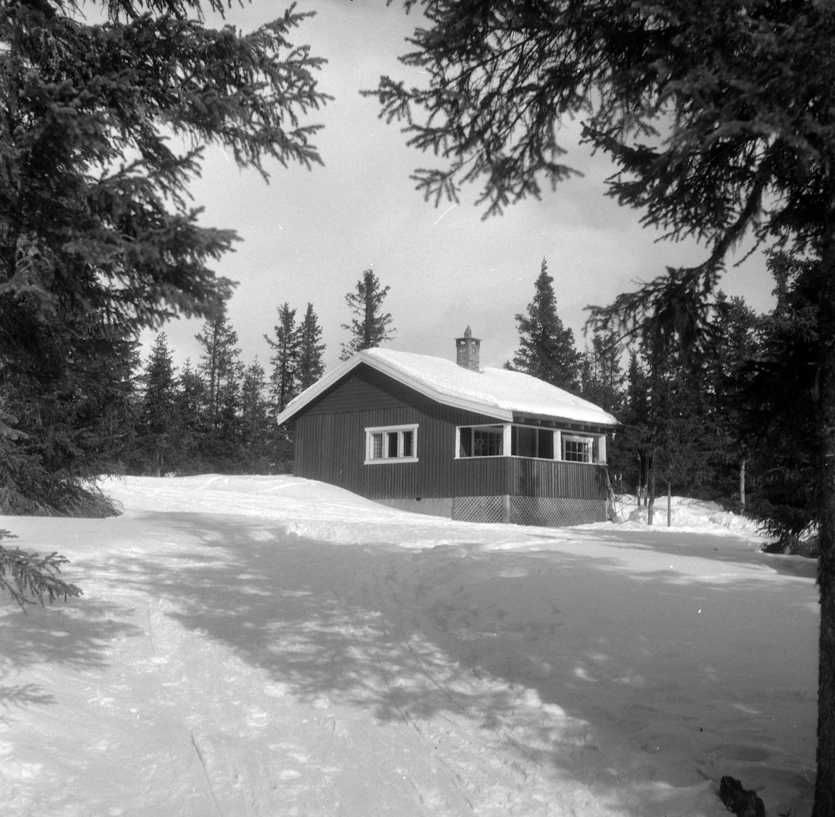 Adolf Skjegstad, ASK-02359