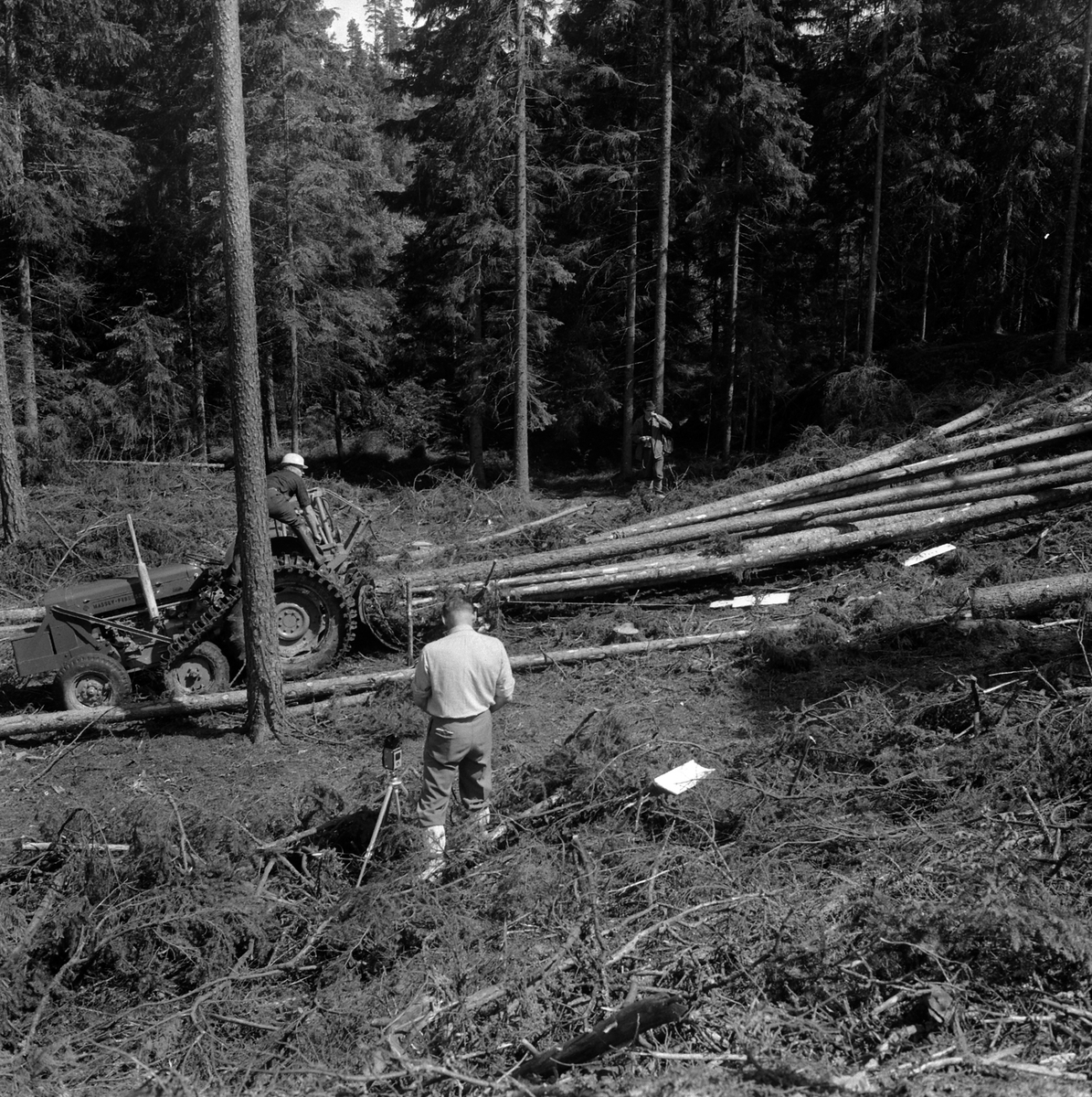 Adolf Skjegstad, SKOGSARBEID, SKOGSMASKIN, TRAKTOR, TØMMER, SKOGBRUK
