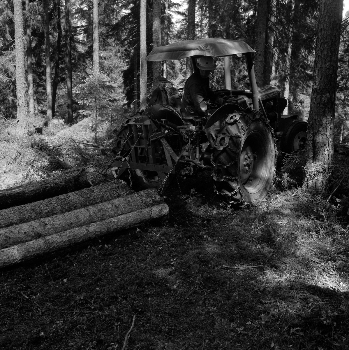 Adolf Skjegstad, SKOGSARBEID, SKOGSMASKIN, TRAKTOR TREKKER TØMMER TIL SAMLEPLASS. SKOGBRUK.