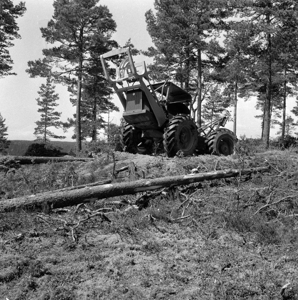 Adolf Skjegstad, SKOGSMASKIN, SKOGBRUK