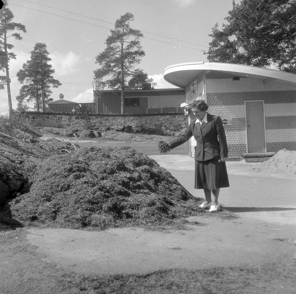 Adolf Skjegstad, ASK-02634