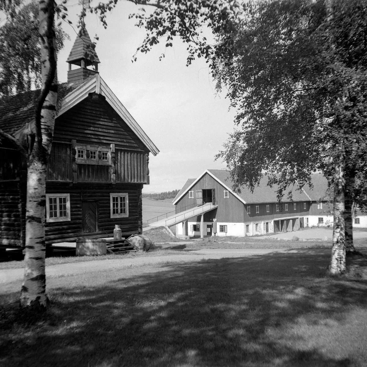 Adolf Skjegstad, ASK-02768