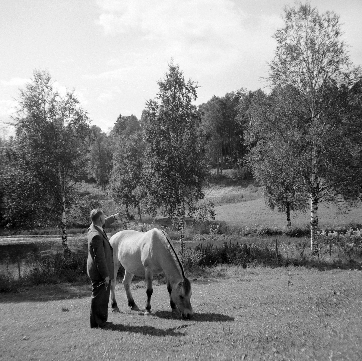 Adolf Skjegstad, ASK-02770