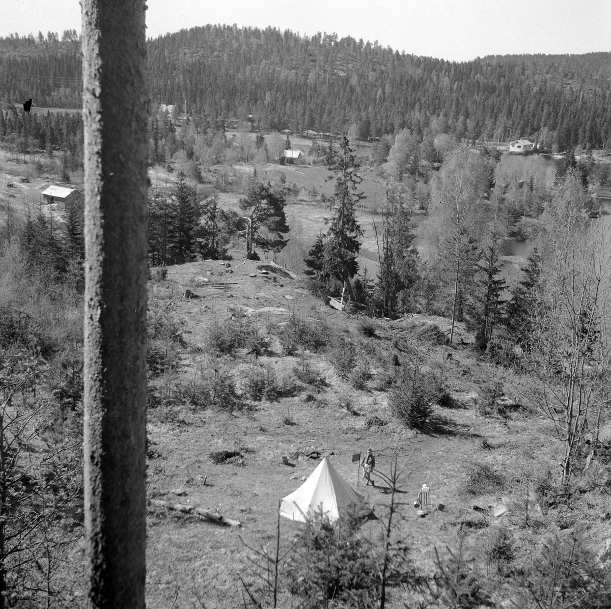 Adolf Skjegstad, ASK-02789