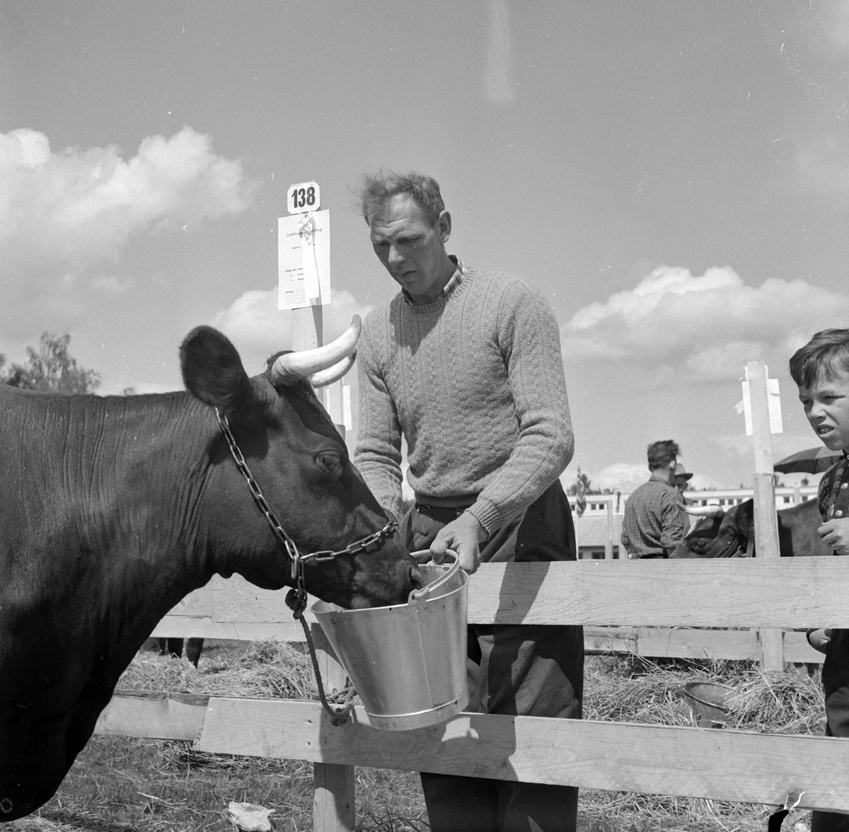 Adolf Skjegstad, Fesjå, utstilling, ukjent sted.