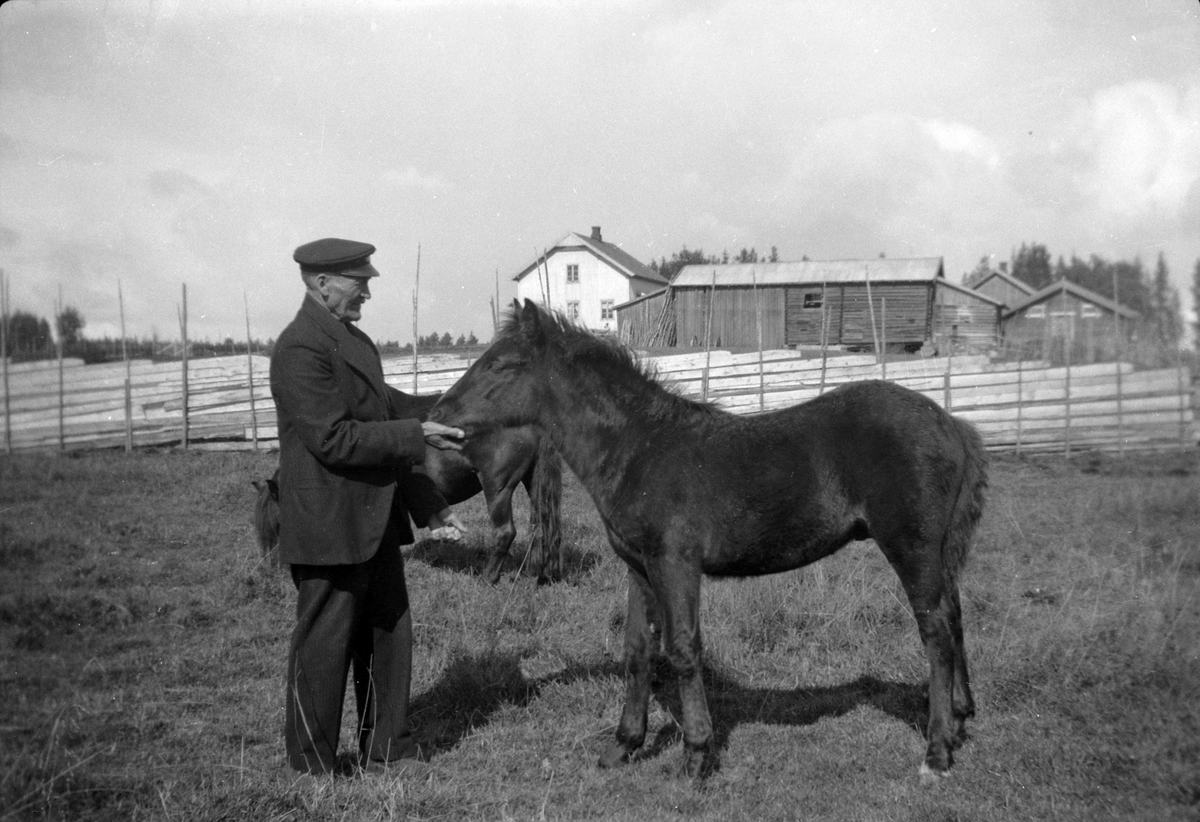 Adolf Skjegstad, ASK-02866