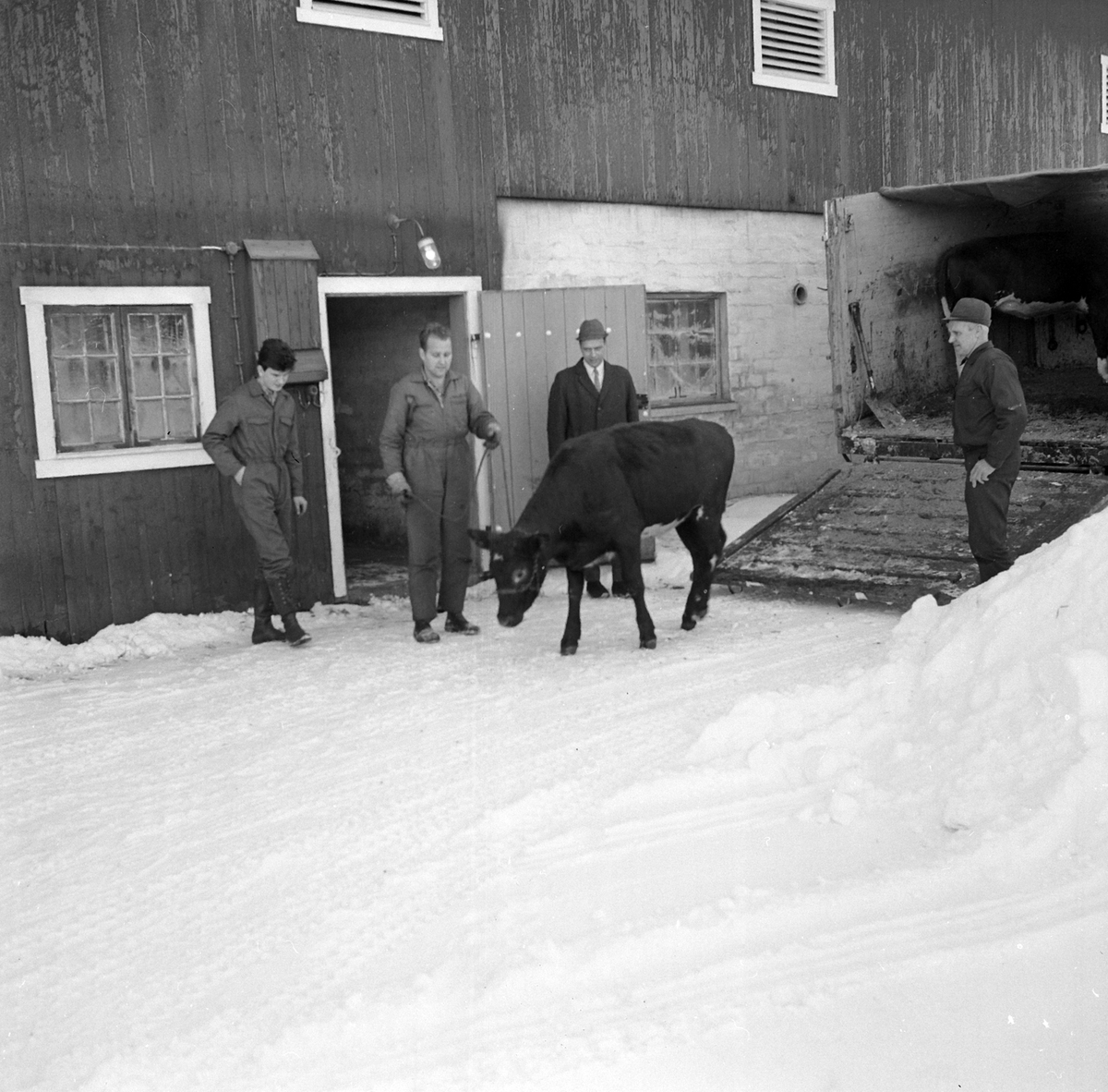 Adolf Skjegstad, ASK-02872