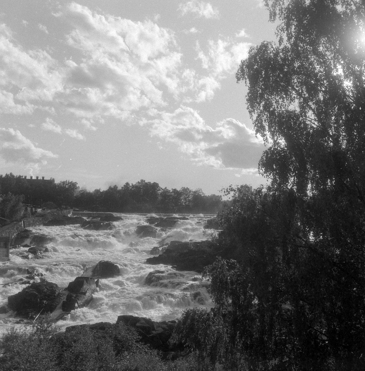 Adolf Skjegstad, Hønefossen i Hønefoss.