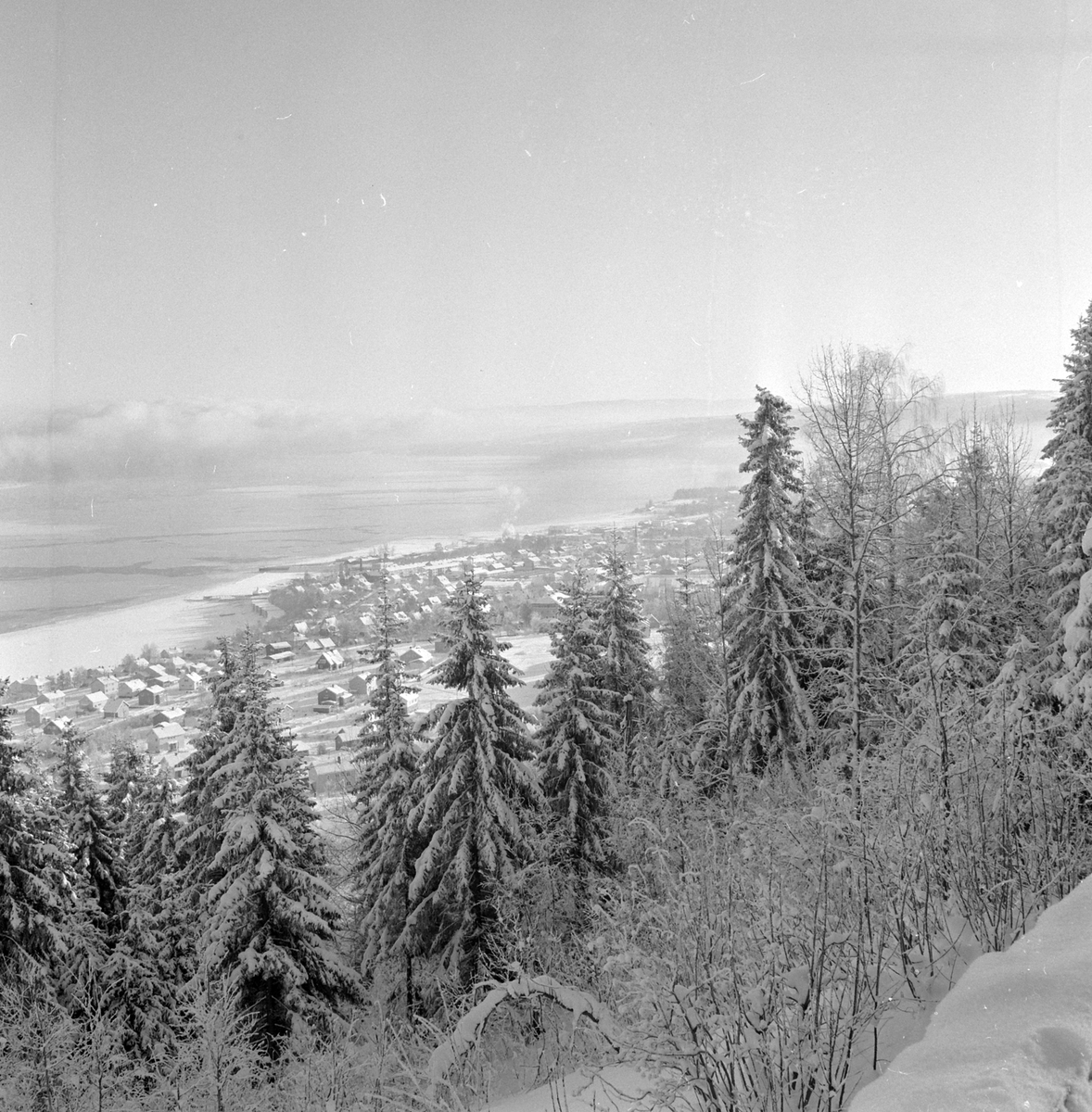 Adolf Skjegstad, ASK-02956