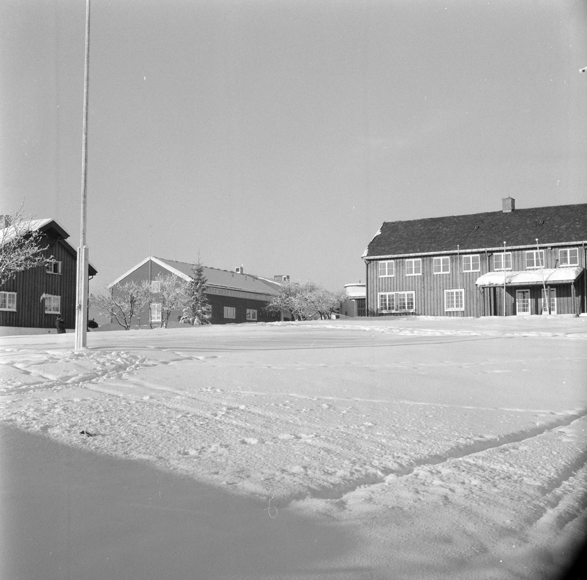 Adolf Skjegstad, ASK-02961