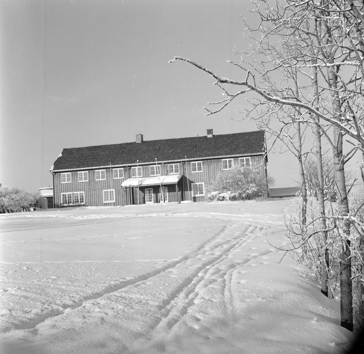 Adolf Skjegstad, ASK-02962