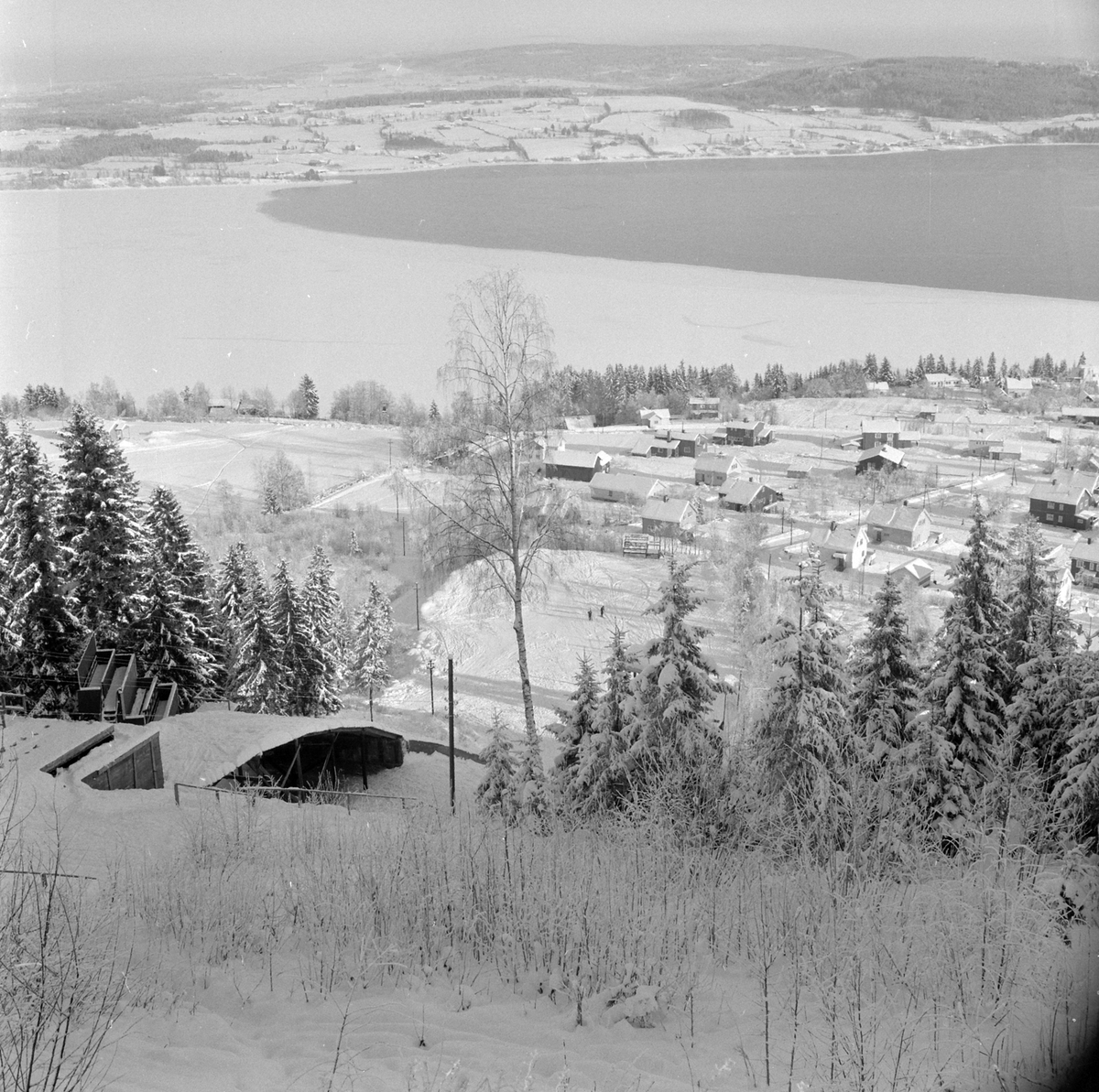 Adolf Skjegstad, ASK-02965