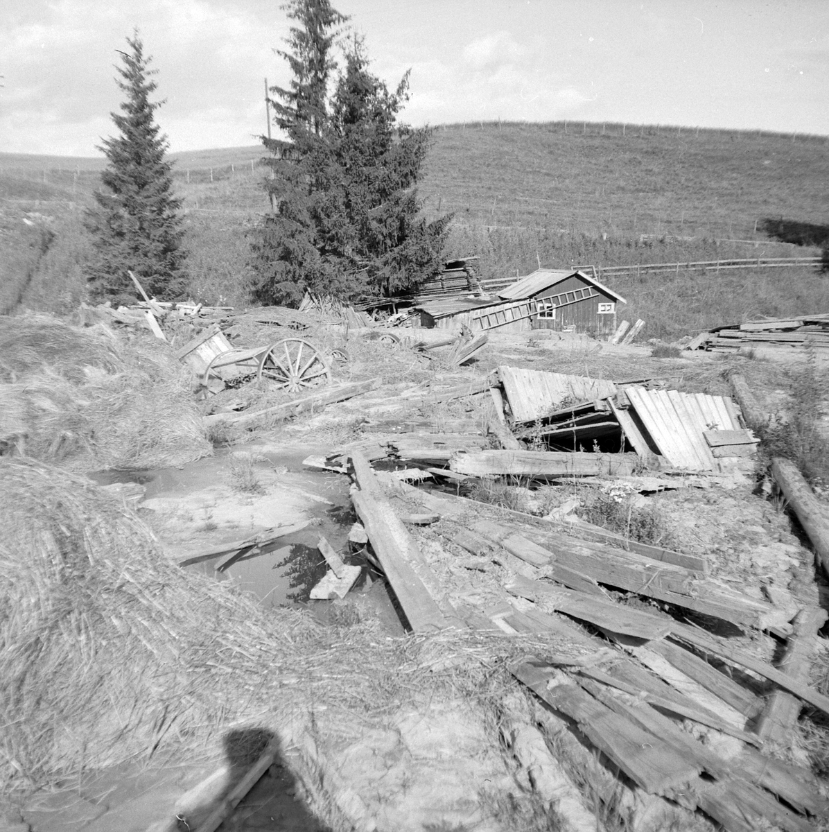 Adolf Skjegstad, ASK-03040