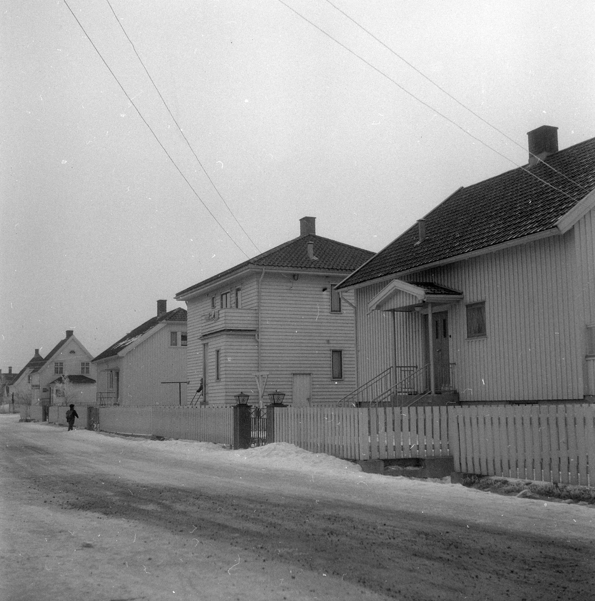 Adolf Skjegstad, ASK-03073
