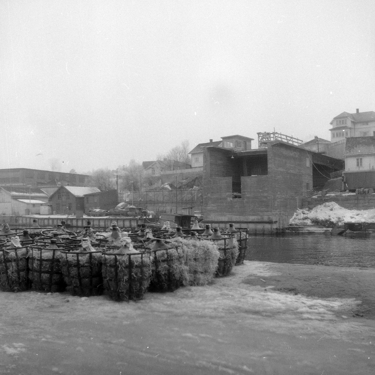 Adolf Skjegstad, ASK-03078