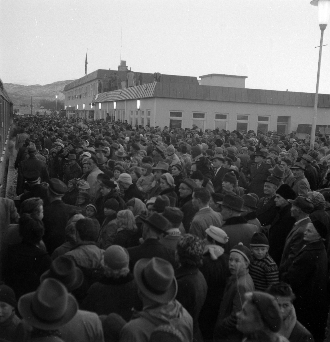 Adolf Skjegstad, ASK-03184