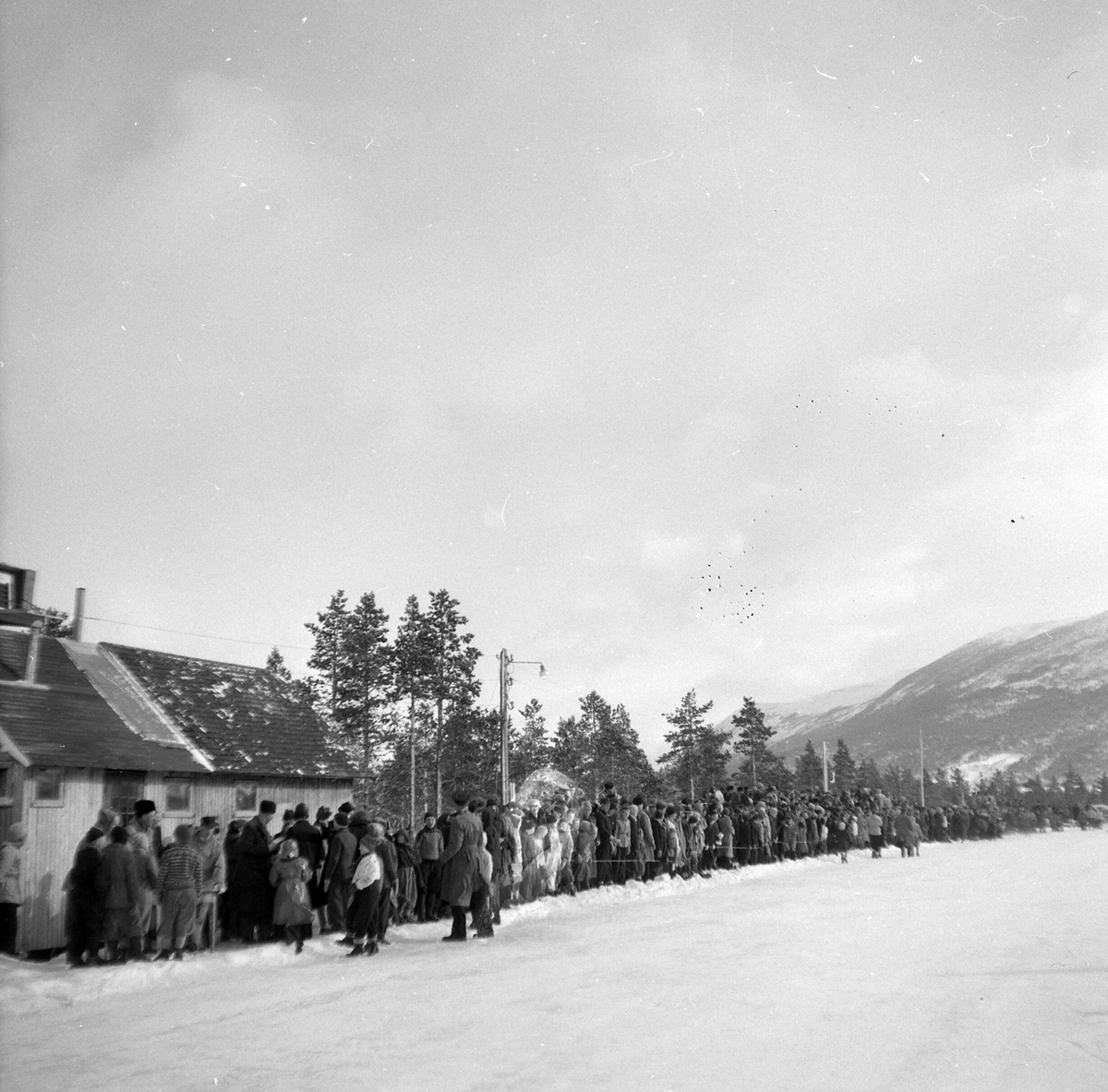 Adolf Skjegstad, ASK-03250