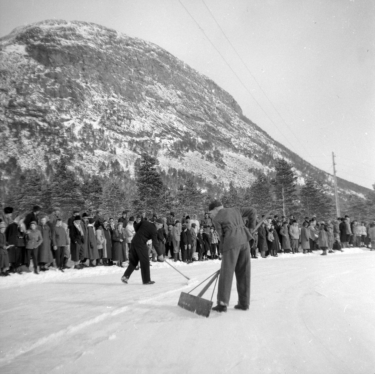 Adolf Skjegstad, ASK-03253