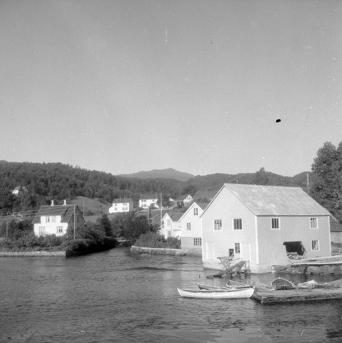 Adolf Skjegstad, ASK-03263
