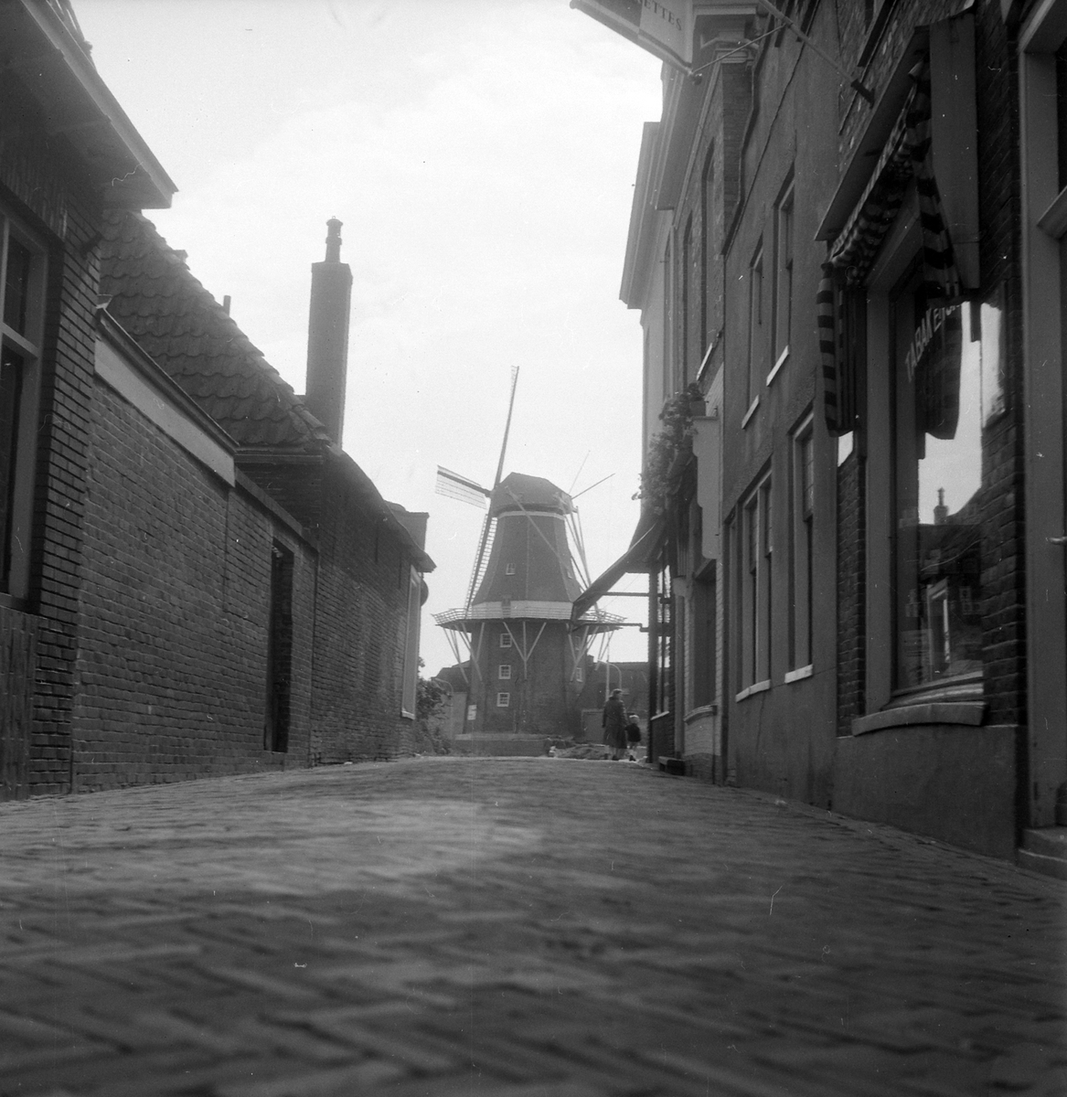 Adolf Skjegstad, Vindmølle, ukjent sted.