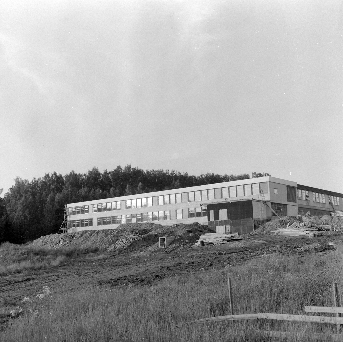 Adolf Skjegstad, ASK-03353