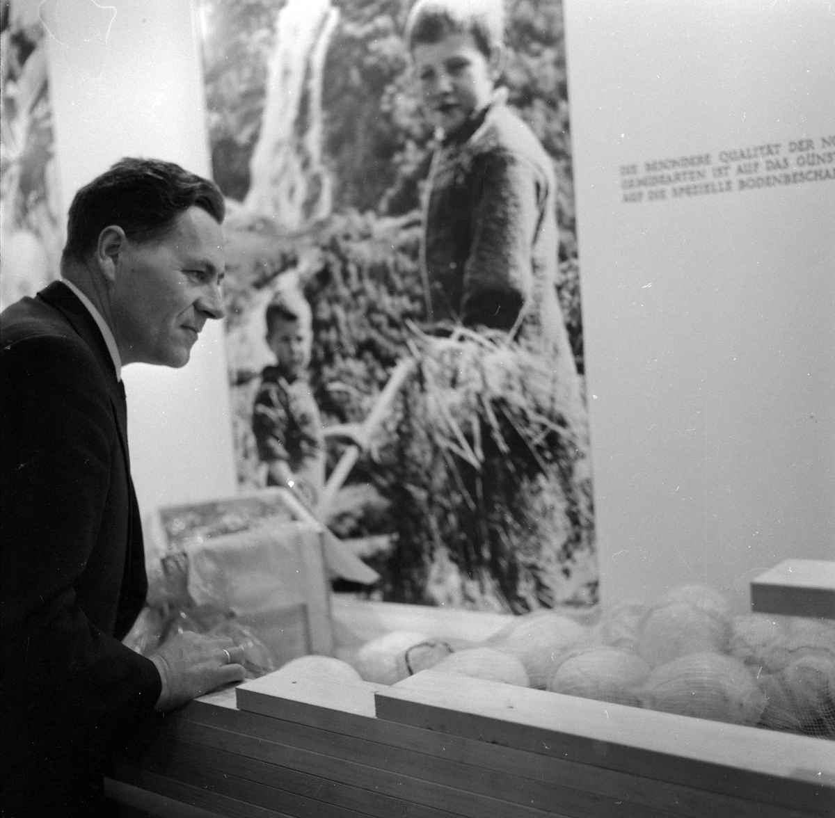 Adolf Skjegstad, ASK-03368