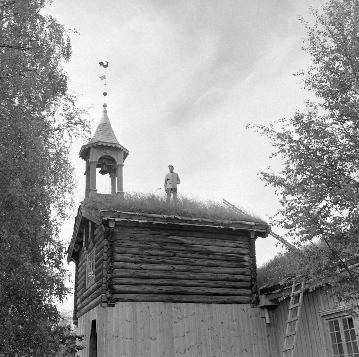 Adolf Skjegstad, ASK-03380