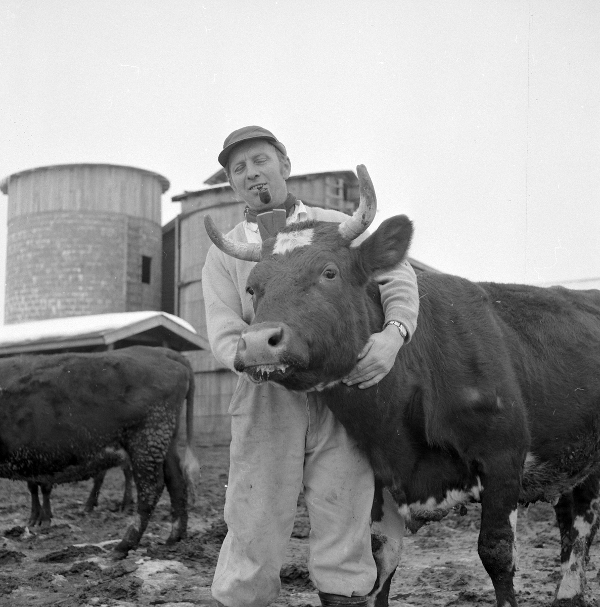 Adolf Skjegstad, ASK-03397