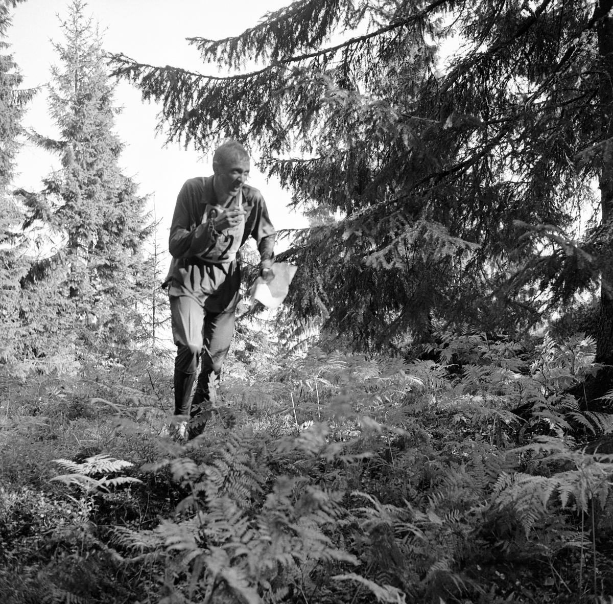 Adolf Skjegstad, ASK-03418