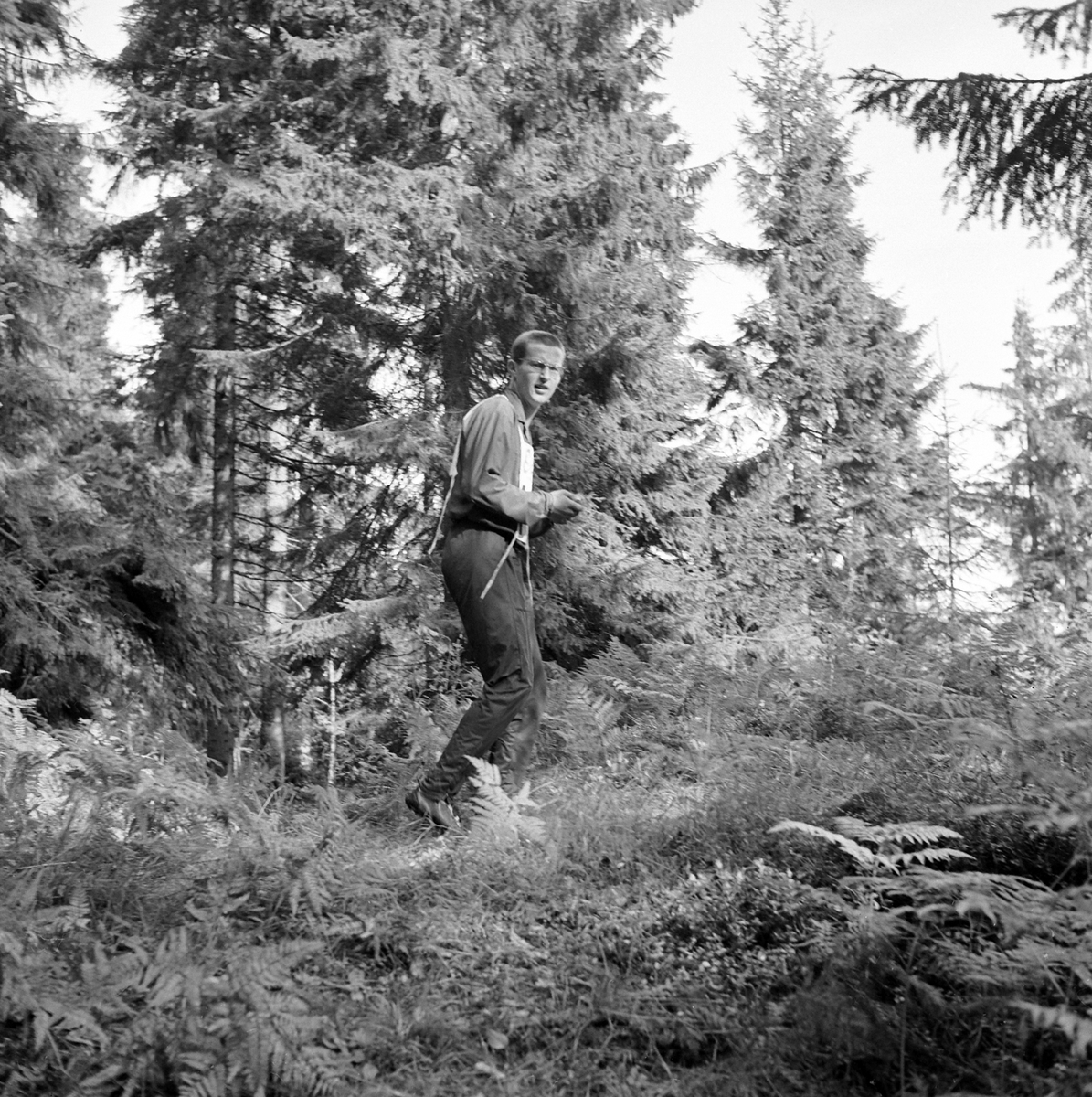 Adolf Skjegstad, ASK-03419
