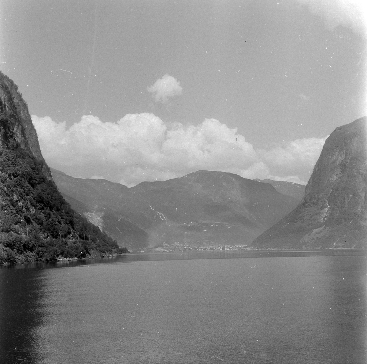 Adolf Skjegstad, ASK-03428