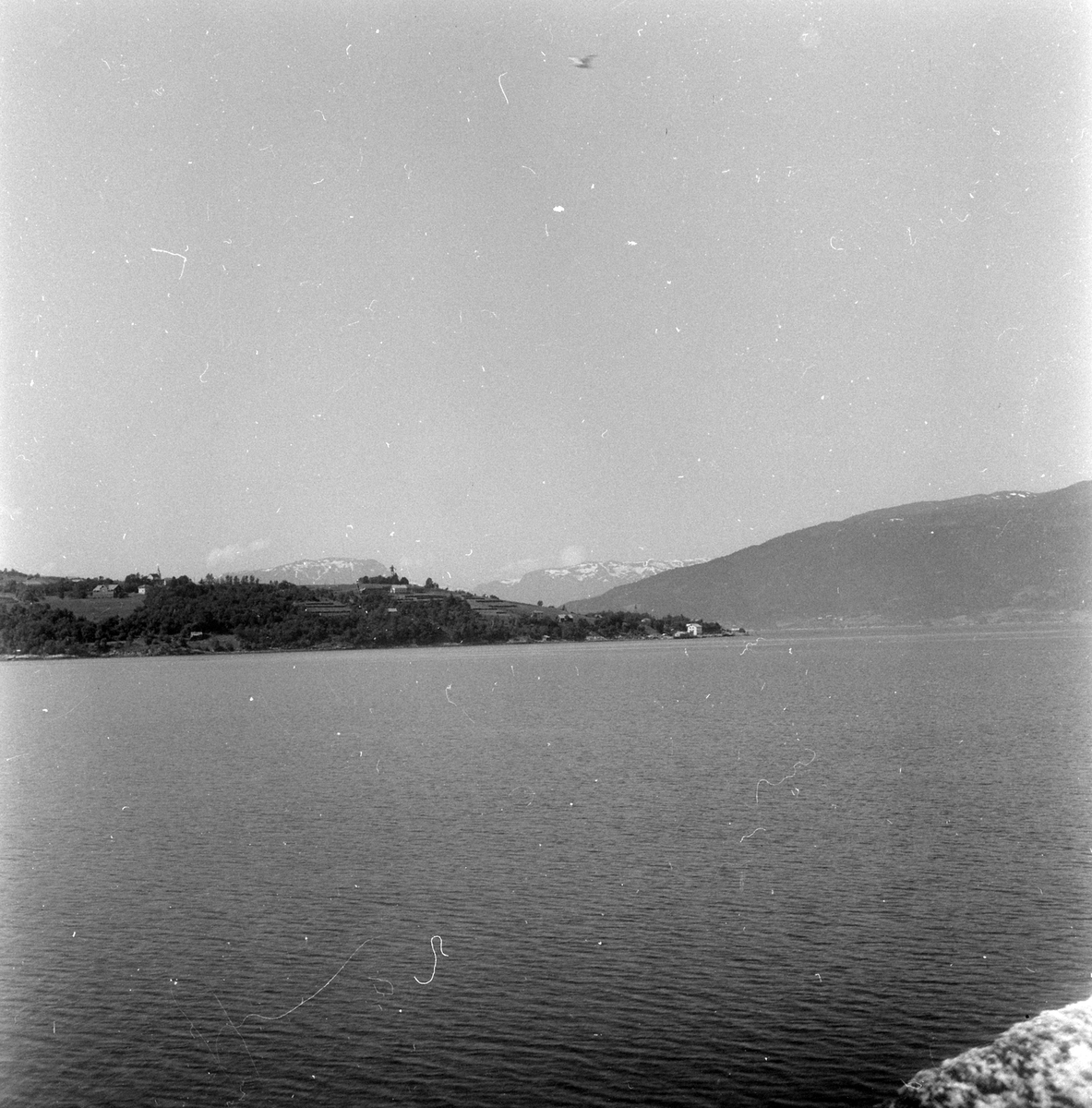 Adolf Skjegstad, ASK-03431