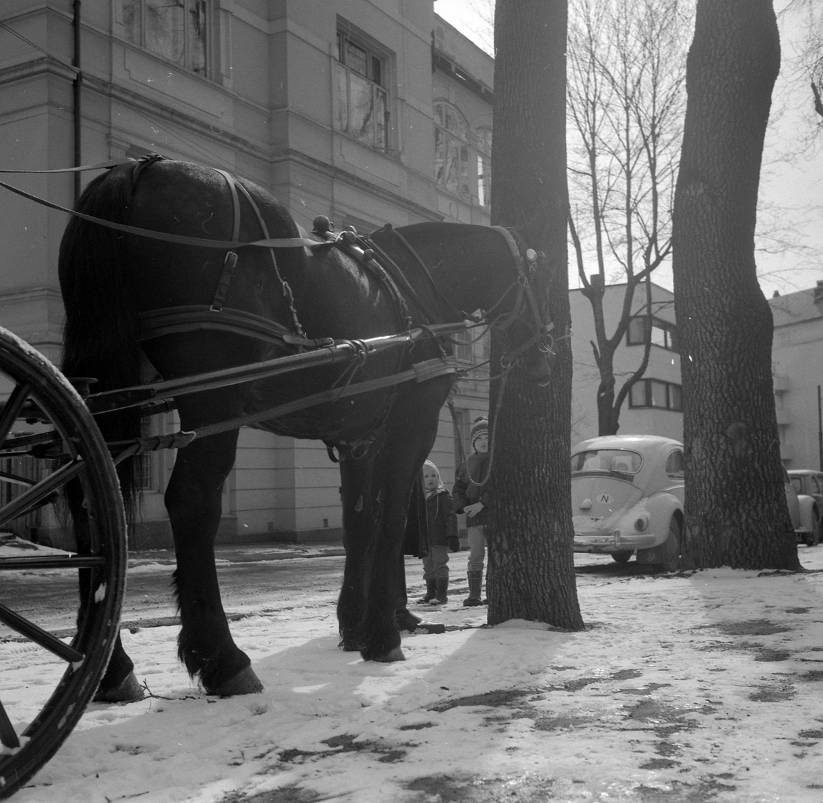 Adolf Skjegstad, ASK-03498