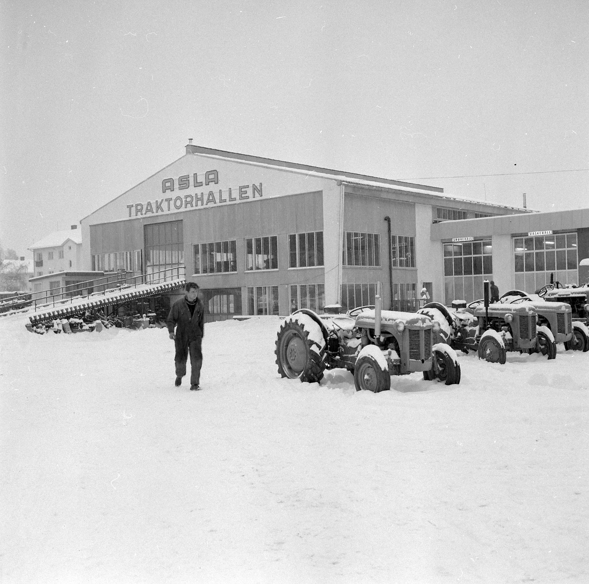 Adolf Skjegstad, ASK-03521