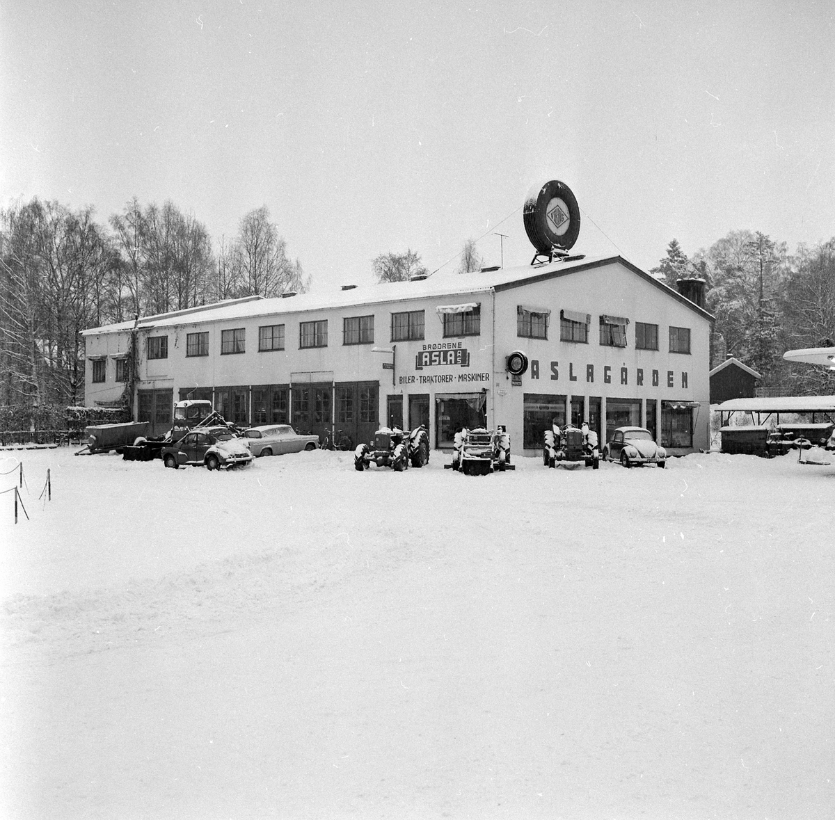Adolf Skjegstad, ASK-03524